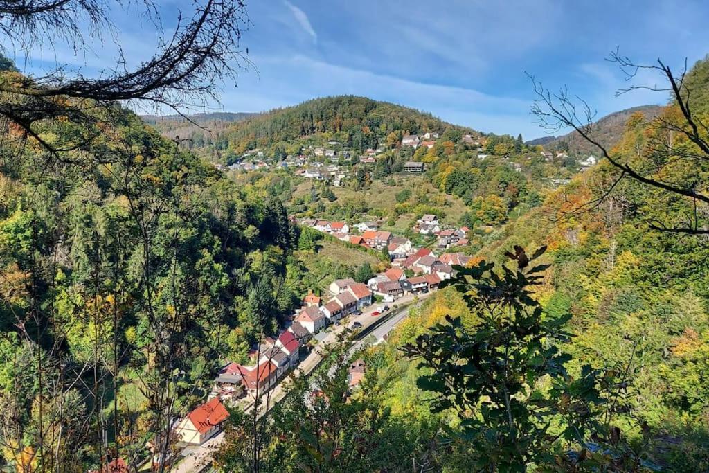 Ferienwohnung Sued - West Harz Mit Sauna E-Bikes Vorhanden! Horden am Harz 外观 照片